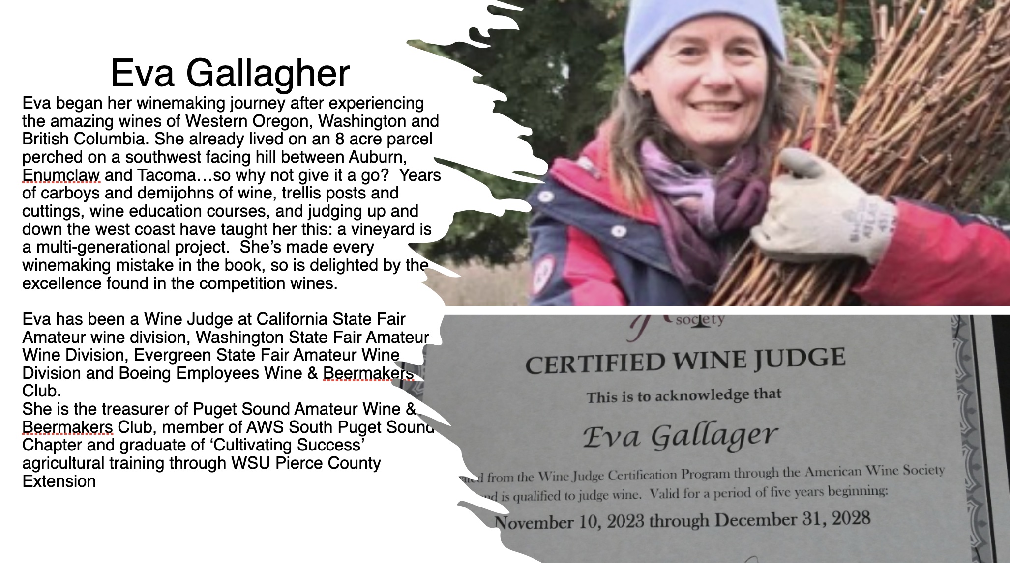 EvaGallagher JudgeBio